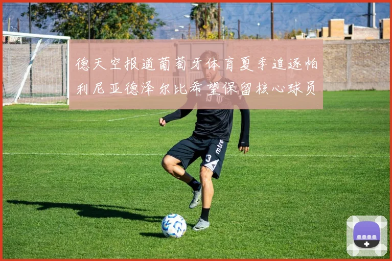 德天空报道葡萄牙体育夏季追逐帕利尼亚德泽尔比希望保留核心球员
